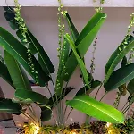 Hermoso apartamento con patio privado