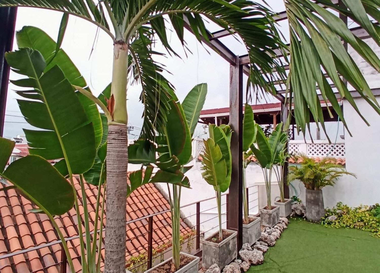 Apartamento Hermoso Con Patio Privado Cartagena